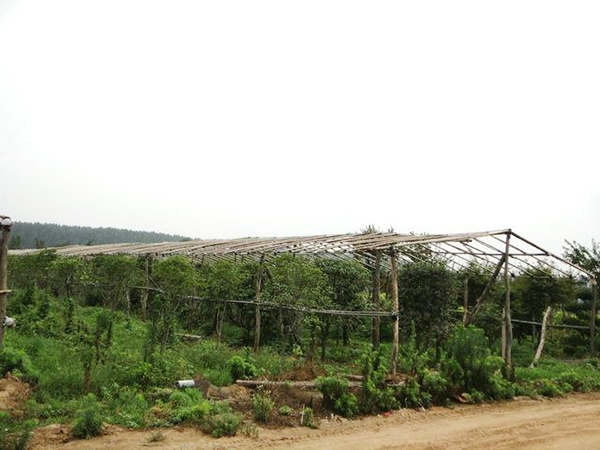 实景展示